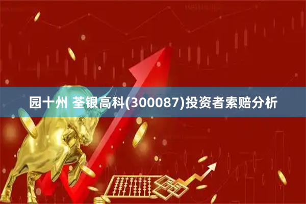 园十州 荃银高科(300087)投资者索赔分析