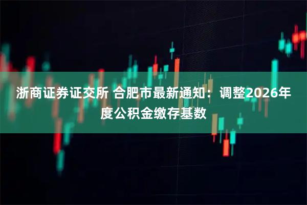 浙商证券证交所 合肥市最新通知：调整2026年度公积金缴存基数
